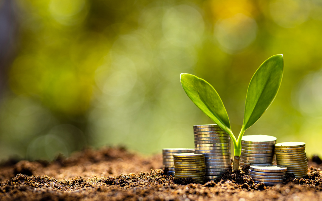 ODS Económicos: Crecimiento, innovación y alianzas como pilares de sostenibilidad empresarial