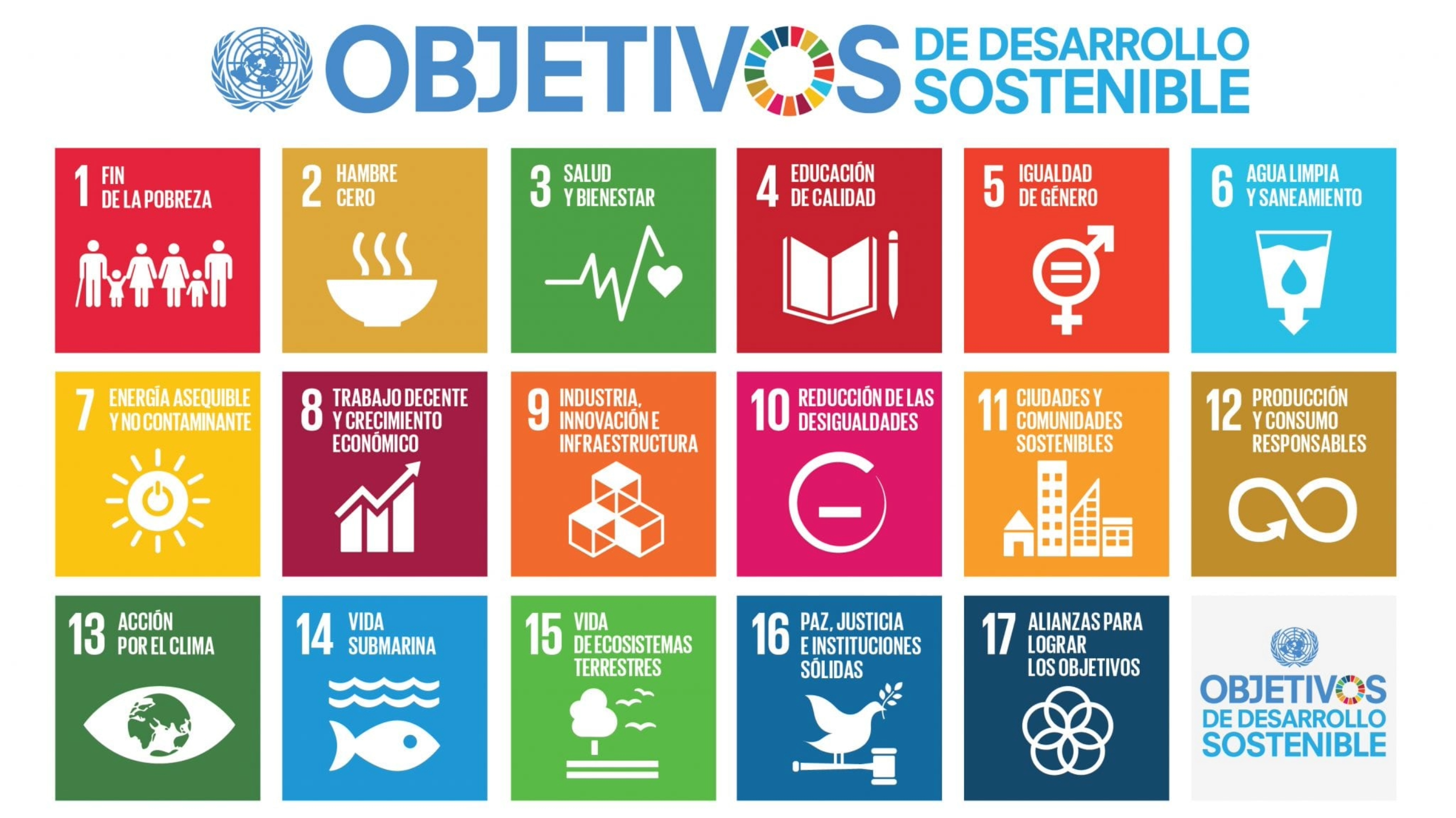 Objetivos de desarrollo sostenible en su foco social | Anvier Group